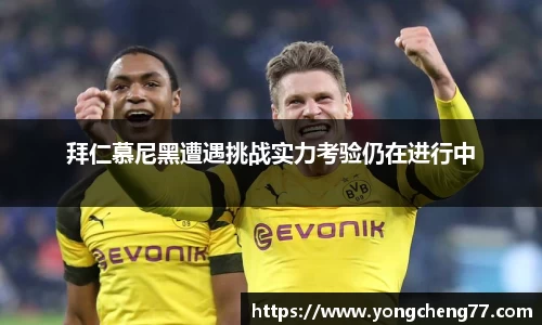 MILE米乐