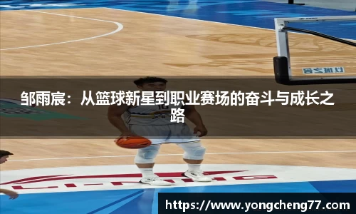 MILE米乐官网