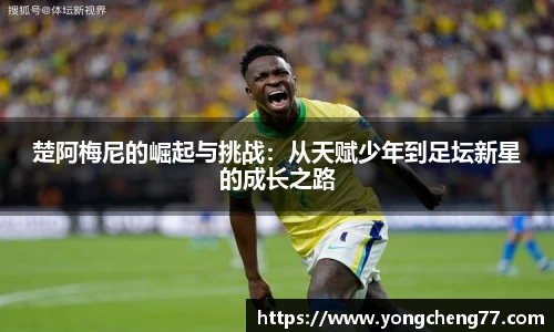 MILE米乐官方网站